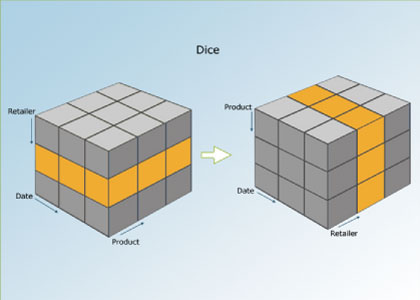 Abb. 9: Dice (nach Schweinsberg & Messerschmidt)