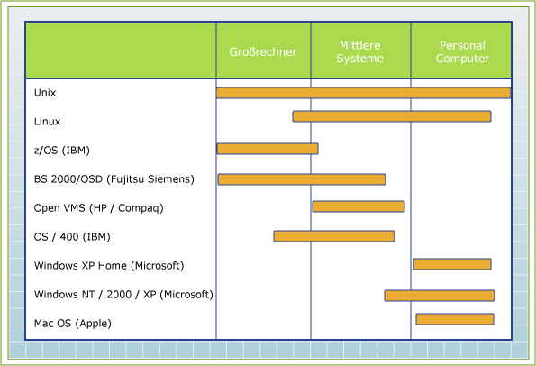 Abb. 6: Installationen von Serverbetriebssystemen (Hansen, Neumann, 2001, S. 986)