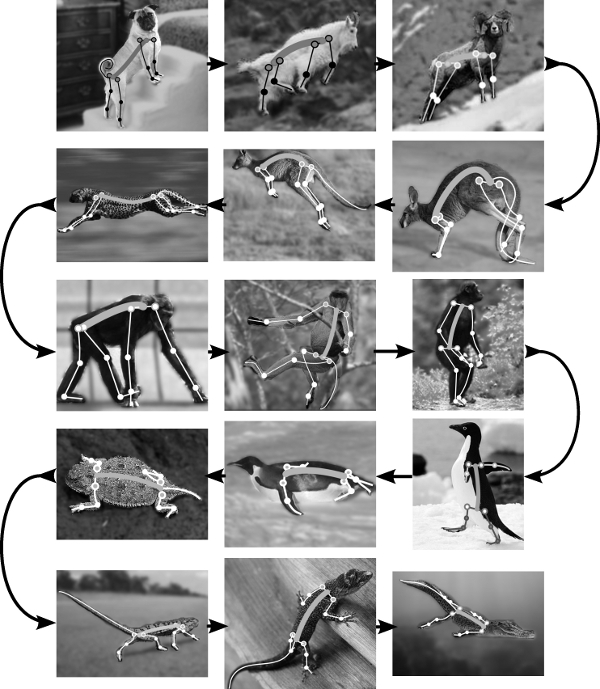 morphosis_scenarios